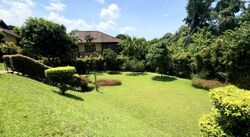 Ewart Park (D10), Detached #436326611